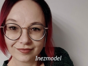 Inezmodel