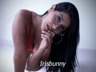 Irisbunny