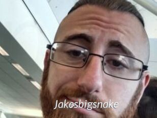 Jakesbigsnake