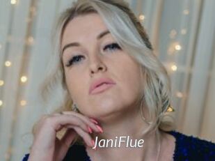 JaniFlue