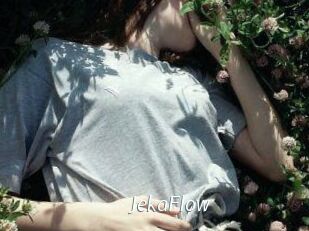 JekaFlow