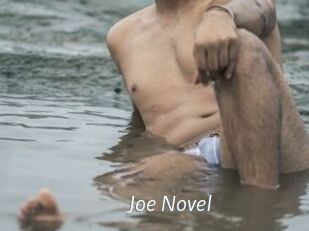 Joe_Novel