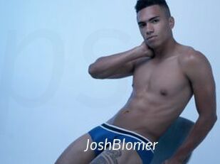 JoshBlomer