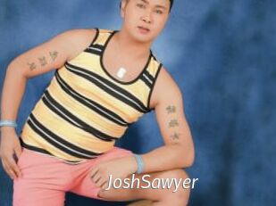JoshSawyer