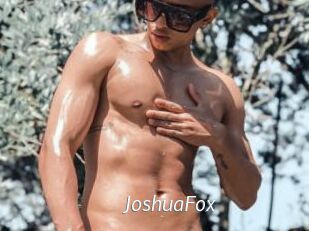 JoshuaFox