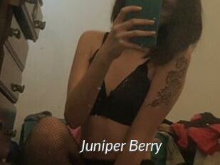 Juniper_Berry