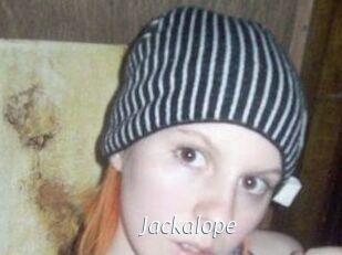 Jackalope