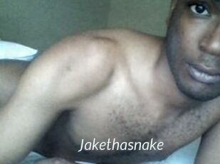 Jake_tha_snake