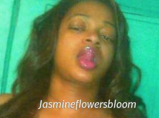 Jasmineflowersbloom