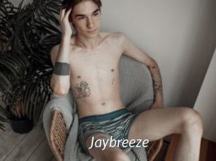 Jaybreeze