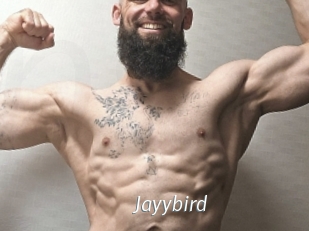 Jayybird