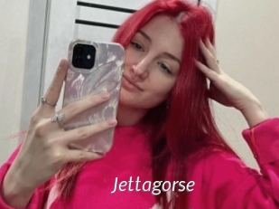 Jettagorse