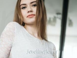 Jevelineflower