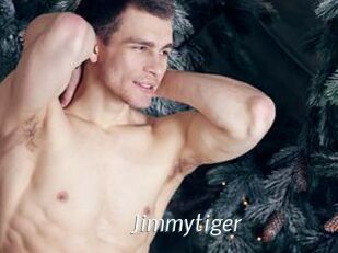 Jimmytiger