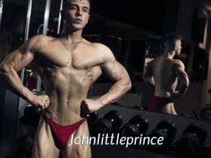 Johnlittleprince