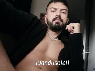 Juandusoleil