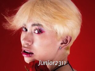 Junior2311