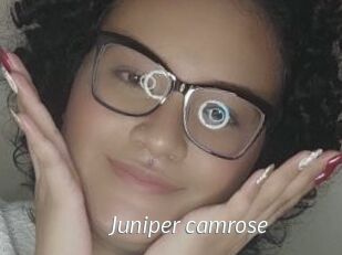 Juniper_camrose