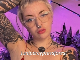 Junipercypressforest