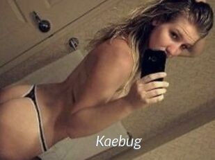 Kaebug