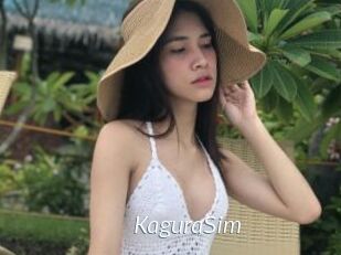 KaguraSim