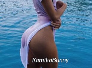 KamikaBunny