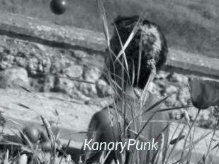 KanaryPunk