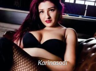 Karinasodi