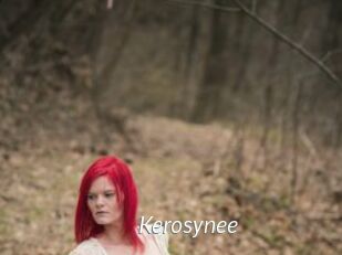 Kerosynee