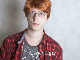 KevinTiger