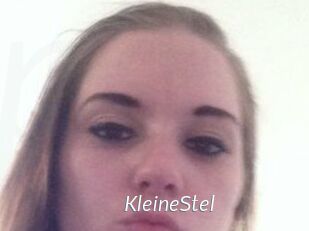KleineStel