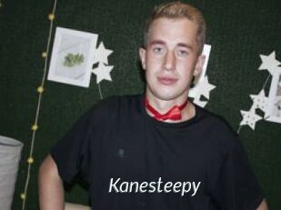 Kanesteepy