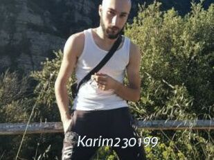 Karim230199