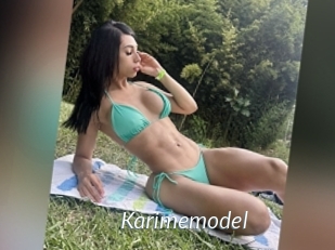 Karimemodel