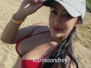 Karinaandrey
