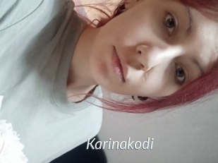 Karinakodi