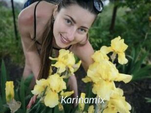 Karinamix