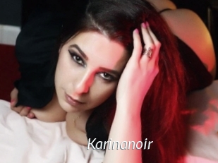 Karinanoir