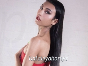 kataleyahornys Porn Star