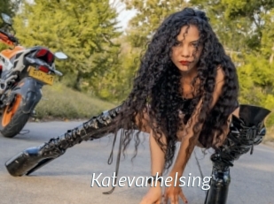 katevanhelsing Porn Star