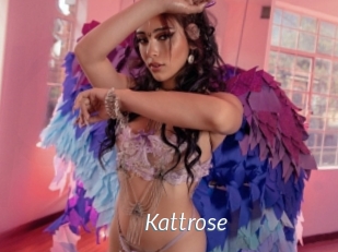 Kattrose
