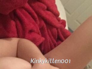 Kinkykitten001