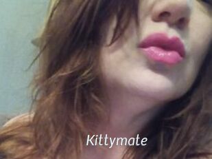 Kittymate