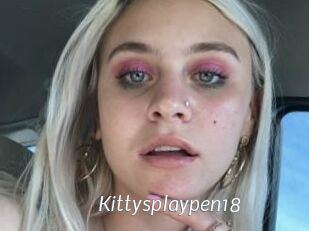 Kittysplaypen18