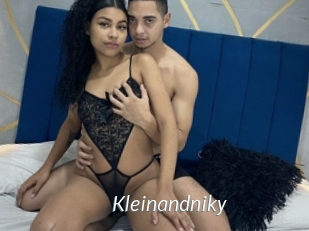 Kleinandniky