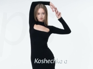 Koshechka_a