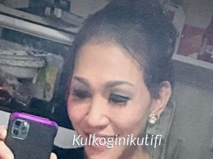 Kulkoginikutifi