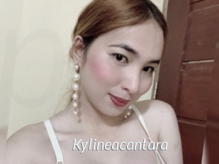 Kylineacantara