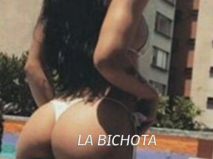LA_BICHOTA