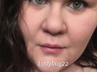 Ladybug22